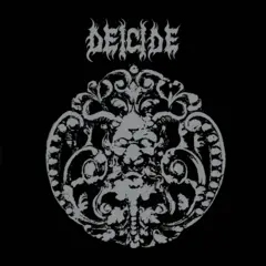 Deicide The Roadrunner Years - LTD (9LP)