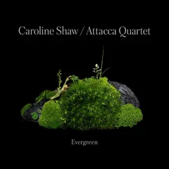 Caroline Shaw &amp; Attacca Quartet Shaw: Evergreen (CD)