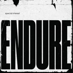 Special Interest Endure - LTD (LP)