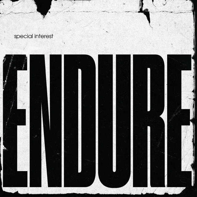 Special Interest Endure (LP) 