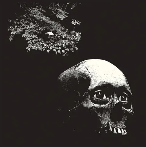 Osees A Foul Form (LP) 
