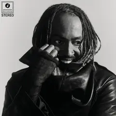 Thundercat Distracted (CD)