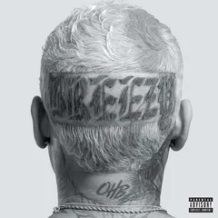 Chris Brown Breezy (CD)