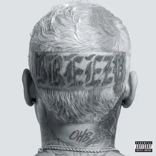 Chris Brown Breezy (CD)
