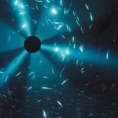 Laurel Halo Midnight Zone (LP)