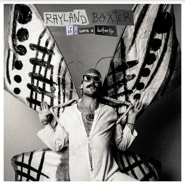 Rayland Baxter If I Were A Butterfly (LP) 