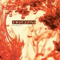 Oceansize Effloresce - LTD (2LP)