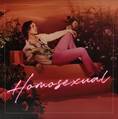 Darren Hayes Homosexual - LTD (2LP)
