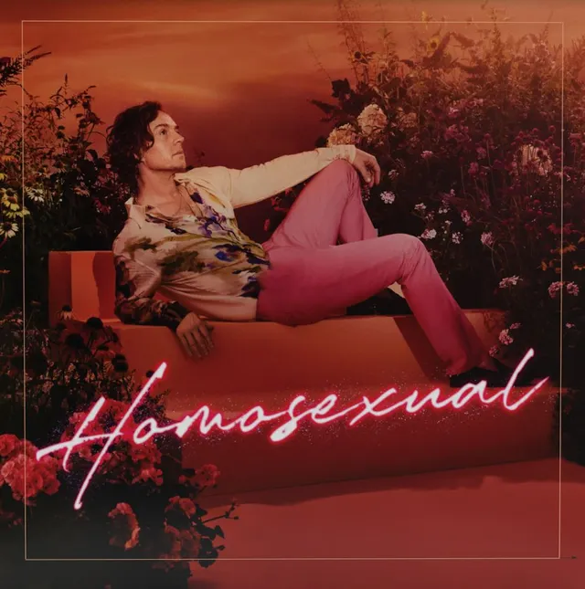 Darren Hayes Homosexual - LTD (2LP) 