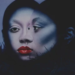 Anaiis This Is No Longer A Dream - LTD (LP)
