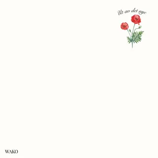 Wako Ut Av Det Nye (LP)
