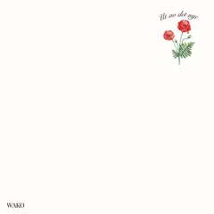 Wako Ut Av Det Nye (CD)
