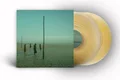 Devil's Witches In All Her Forms - LTD (LP)