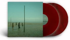 Devil's Witches In All Her Forms - LTD (LP)