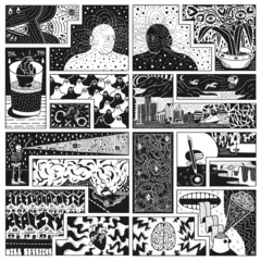 Will Sessions Electromagnetic Reality (LP)