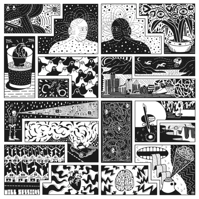 Will Sessions Electromagnetic Reality (LP) 