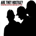 Diverse Artister Are They Hostile? Croydon Punk... (CD)