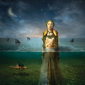 The Bled Found In The Flood (LP)