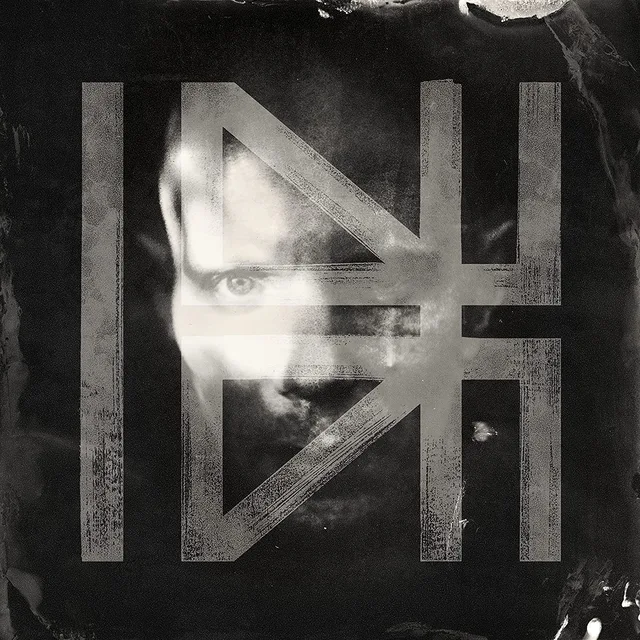Billy Howerdel What Normal Was (LP) 