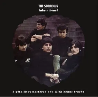 The Sorrows Take A Heart (LP) 