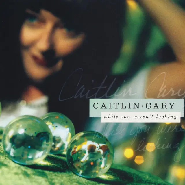 Cary Caitlin While You Weren't Looking - 20th… (2LP) 