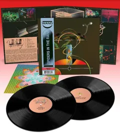 Wand Spiders In The Rain (2LP)