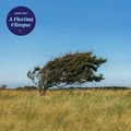Bjørn Riis A Fleeting Glipse (CD)