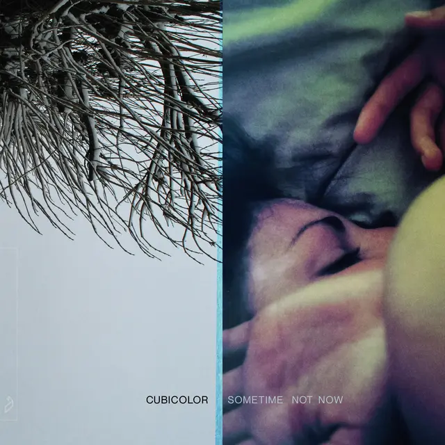 Cubicolor Sometime Not Now (2LP) 