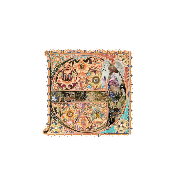 Visio Privacy Angels (LP) 