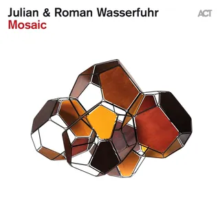 Julian &amp; Roman Wasserfuhr Mosaic (LP)