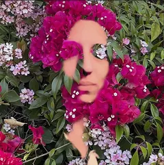 Daisy Press You Are The Flower: Music From… (CD)