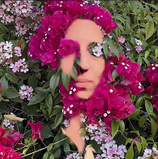 Daisy Press You Are The Flower: Music From… (CD) 