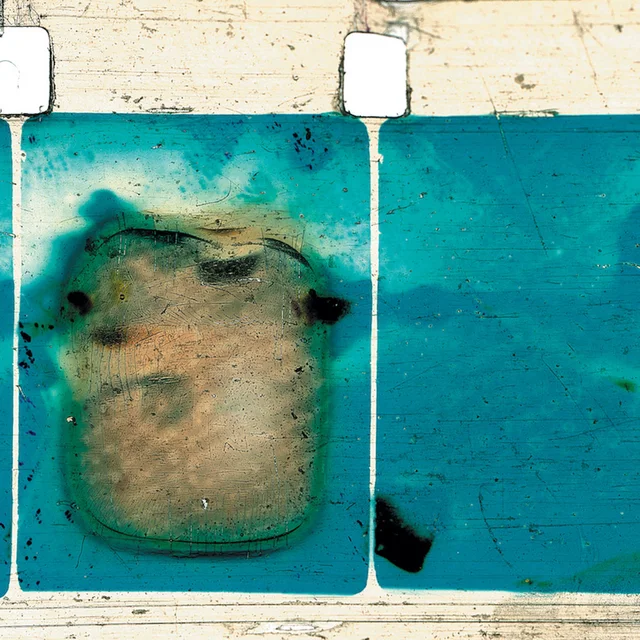 Simiskina Endless Green Hills (MC) 