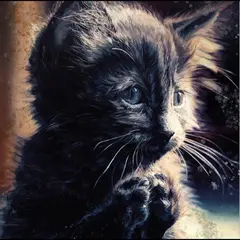 Perzeptiverdampfkesselqualmtbesinnlich Pussy Disco (CD)