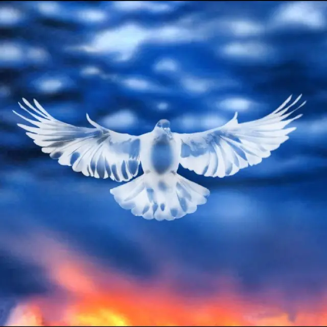 FaltyDL Mission Barnhus (12") 