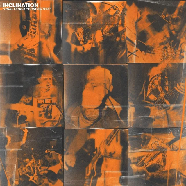 Inclination Unaltered Perspective - LTD (LP) 