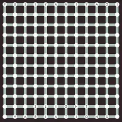 Fujiya &amp; Miyagi Slight Variations - LTD (LP)