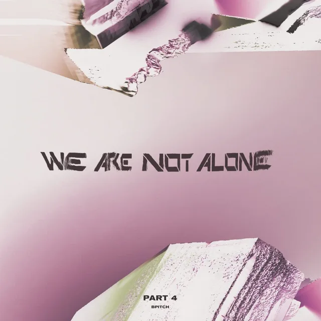 Diverse Artister We're Not Alone Part 4 (2LP) 