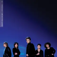 Brigitte Calls Me Baby Irreversible (LP)