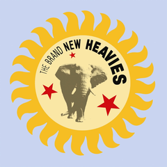 The Brand New Heavies The Brand New Heavies (LP)