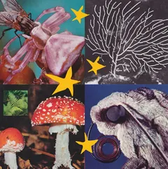 Diverse Artister All Things Considered Vol 2 (LP)