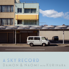 Damon &amp; Naomi A Sky Record (LP)