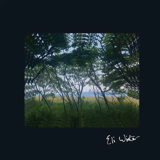 Eli Winter Eli Winter (LP) 