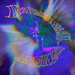 Blacklab In A Bizarre Dream - LTD (LP)