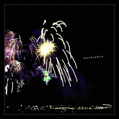 Nutrients Different Bridges (LP)