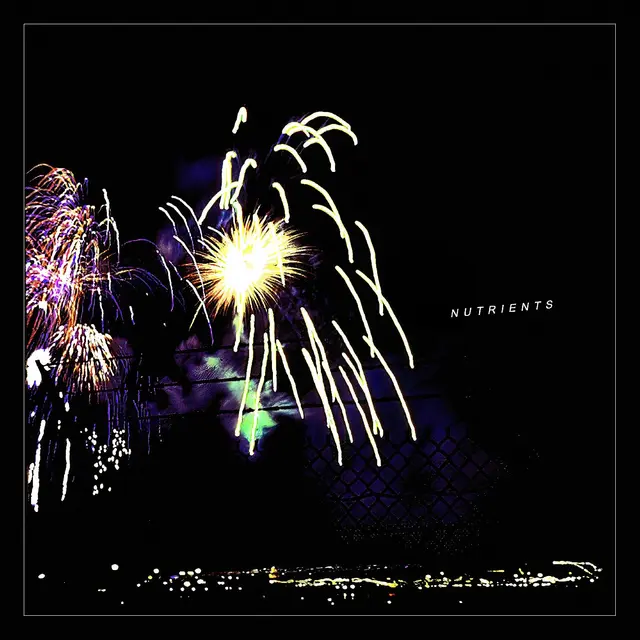 Nutrients Different Bridges (LP) 