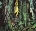 David Sylvian Manafon (2LP)