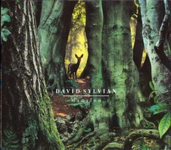David Sylvian Manafon (2LP)