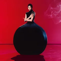 Rina Sawayama Hold The Girl (LP)