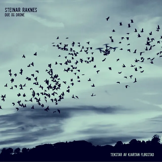 Steinar Raknes Due Og Drone (LP) 
